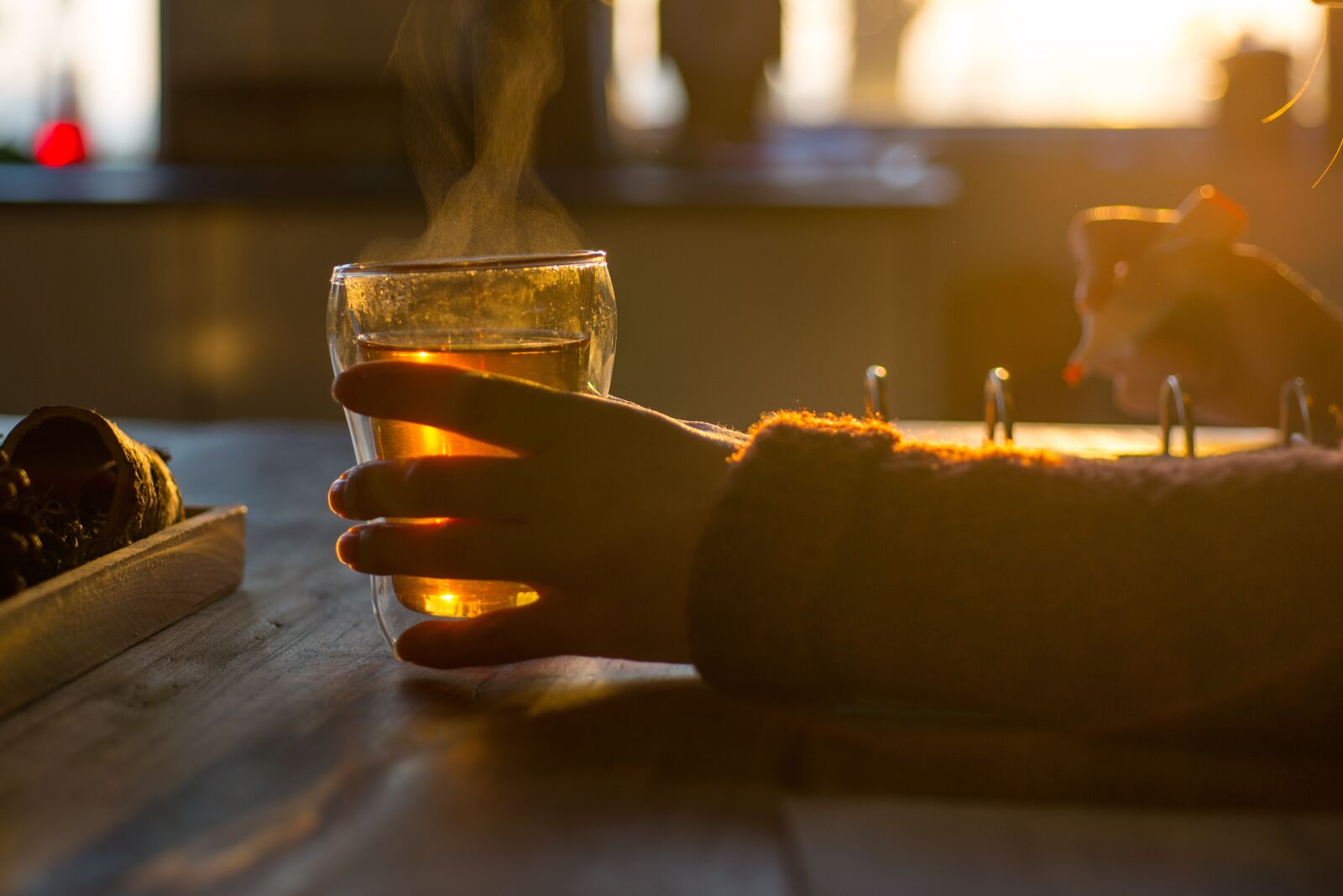 Nikon D610 sample photo. Drinking, tea, studying photography