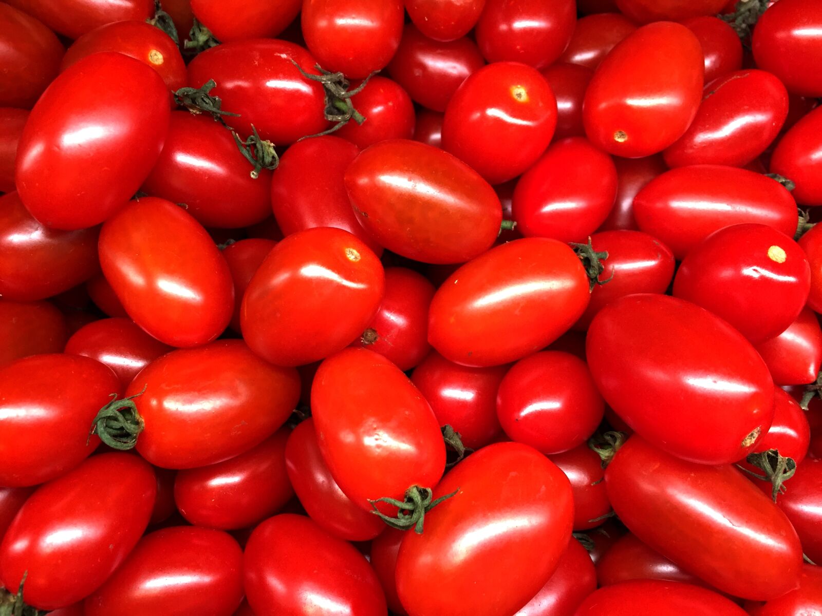 Apple iPhone 6 sample photo. Cherry tomato, tomato, vegetable photography