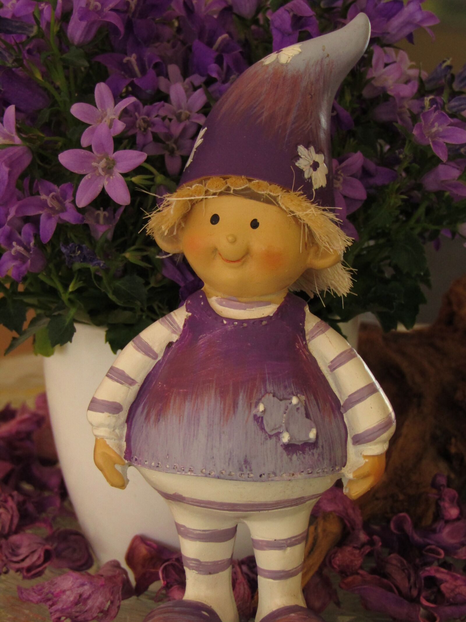 Canon POWERSHOT SX432 IS sample photo. Dwarf, imp, brownie photography
