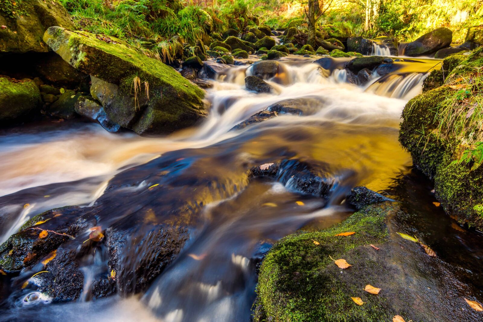 Nikon D7100 sample photo. Nature, stream, river, moss photography