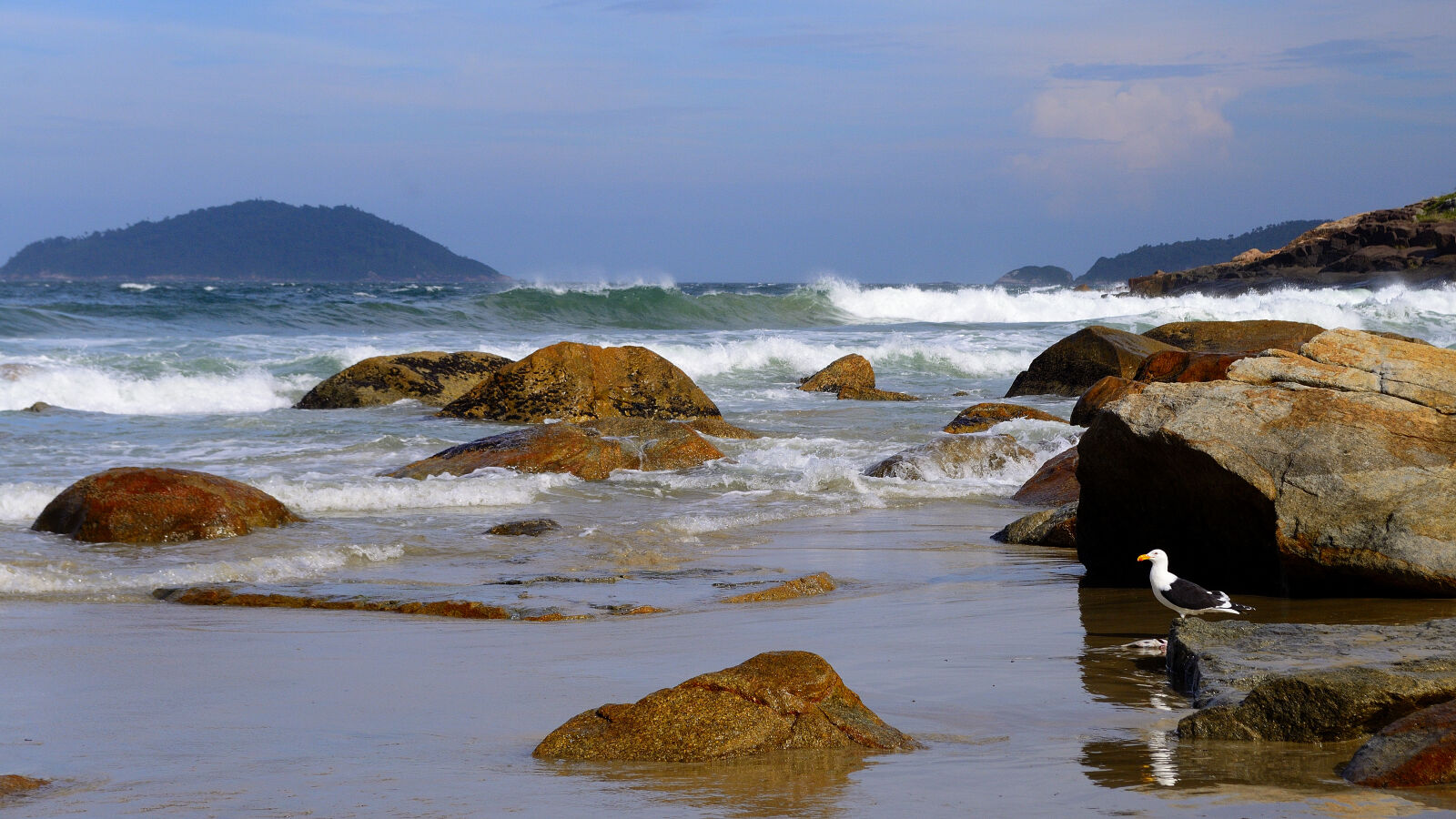 Nikon D5100 sample photo