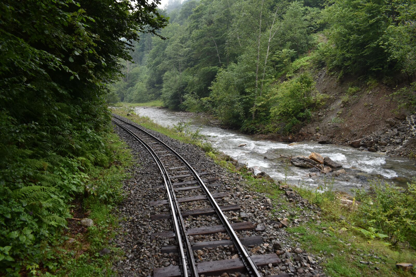 Nikon D3500 sample photo. Train, landscape, railroad photography