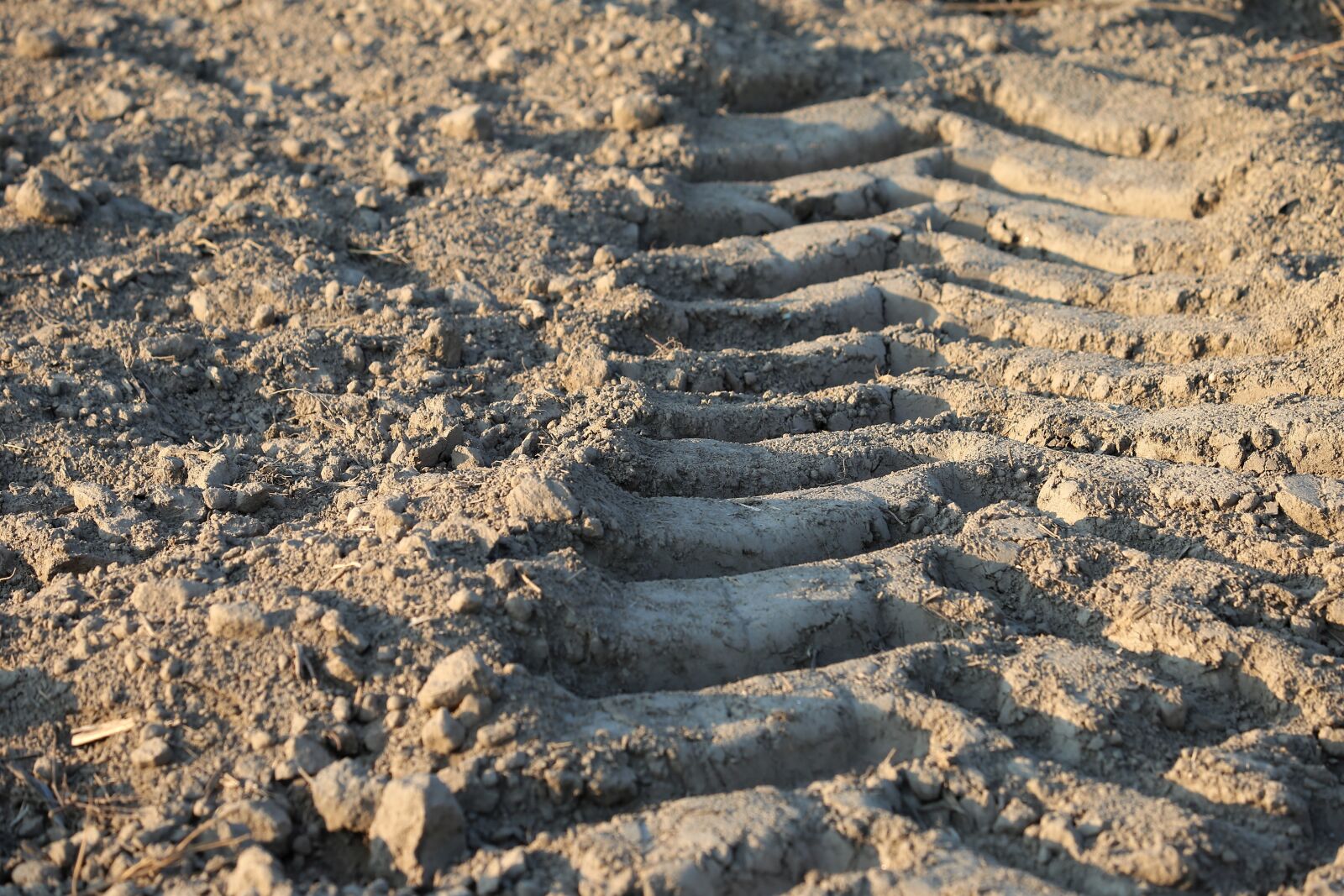 Canon EF 70-300 F4-5.6 IS II USM sample photo. Earth, tractor wheel imprint photography