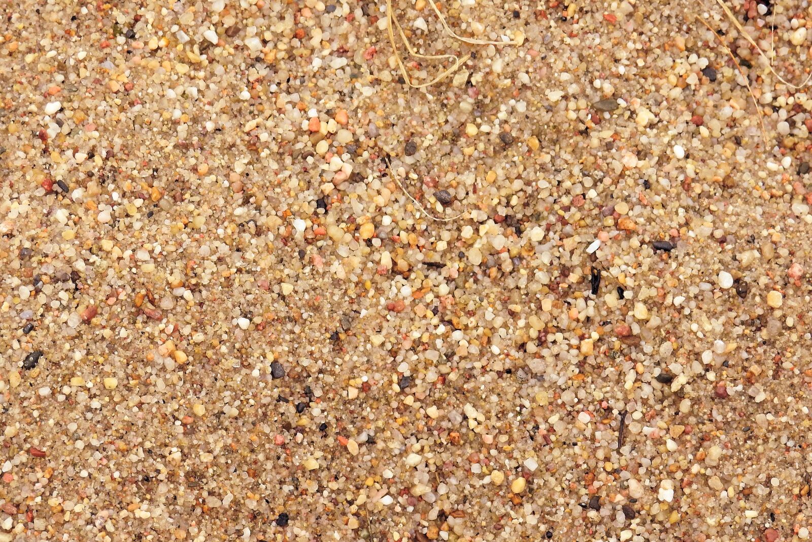 Nikon Coolpix P900 sample photo. Texture, background, pebble photography