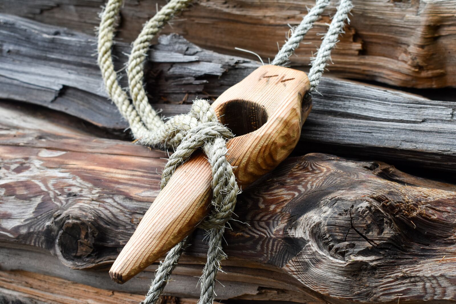 Nikon D5600 sample photo. Buckle, chain, chopped photography
