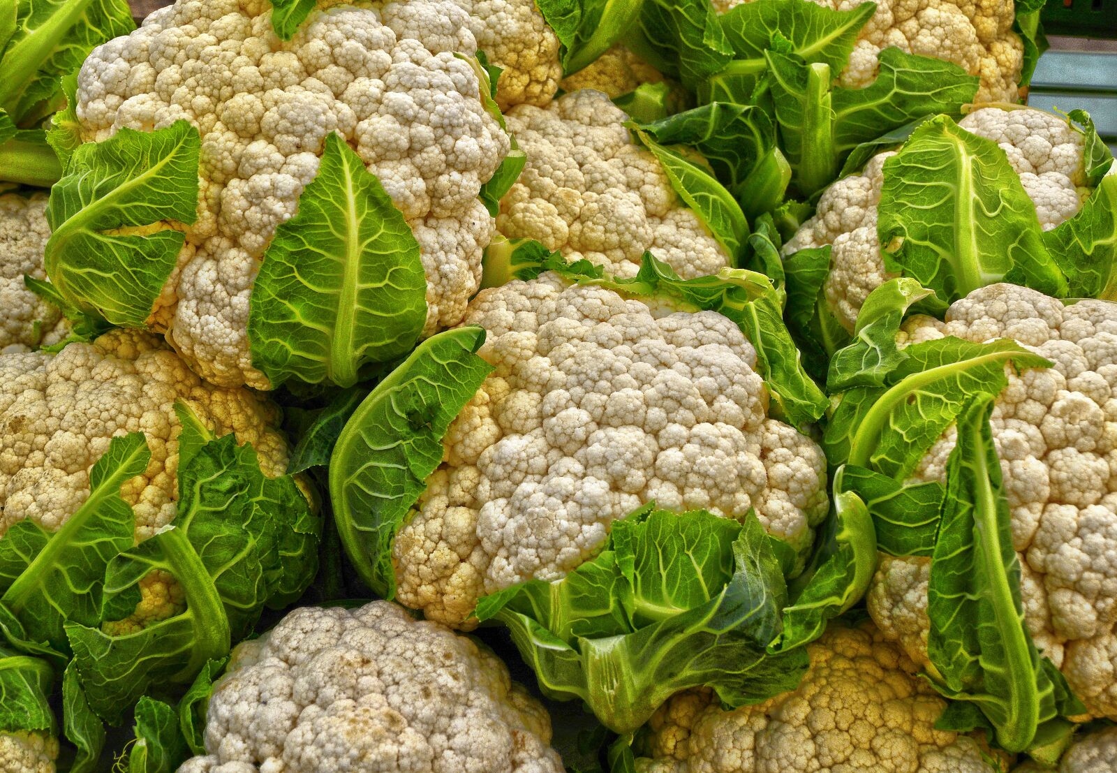Panasonic Lumix DMC-FZ1000 sample photo. Cauliflower, vegetables, cheese cabbage photography