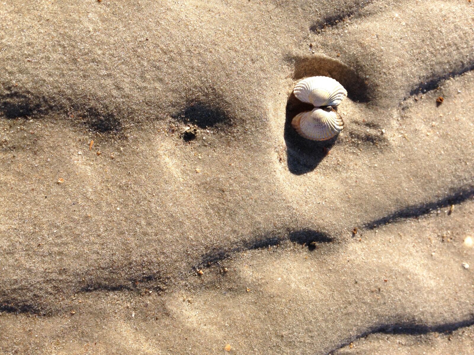 iPhone 5 back camera 4.12mm f/2.4 sample photo. North sea, beach, amrum photography