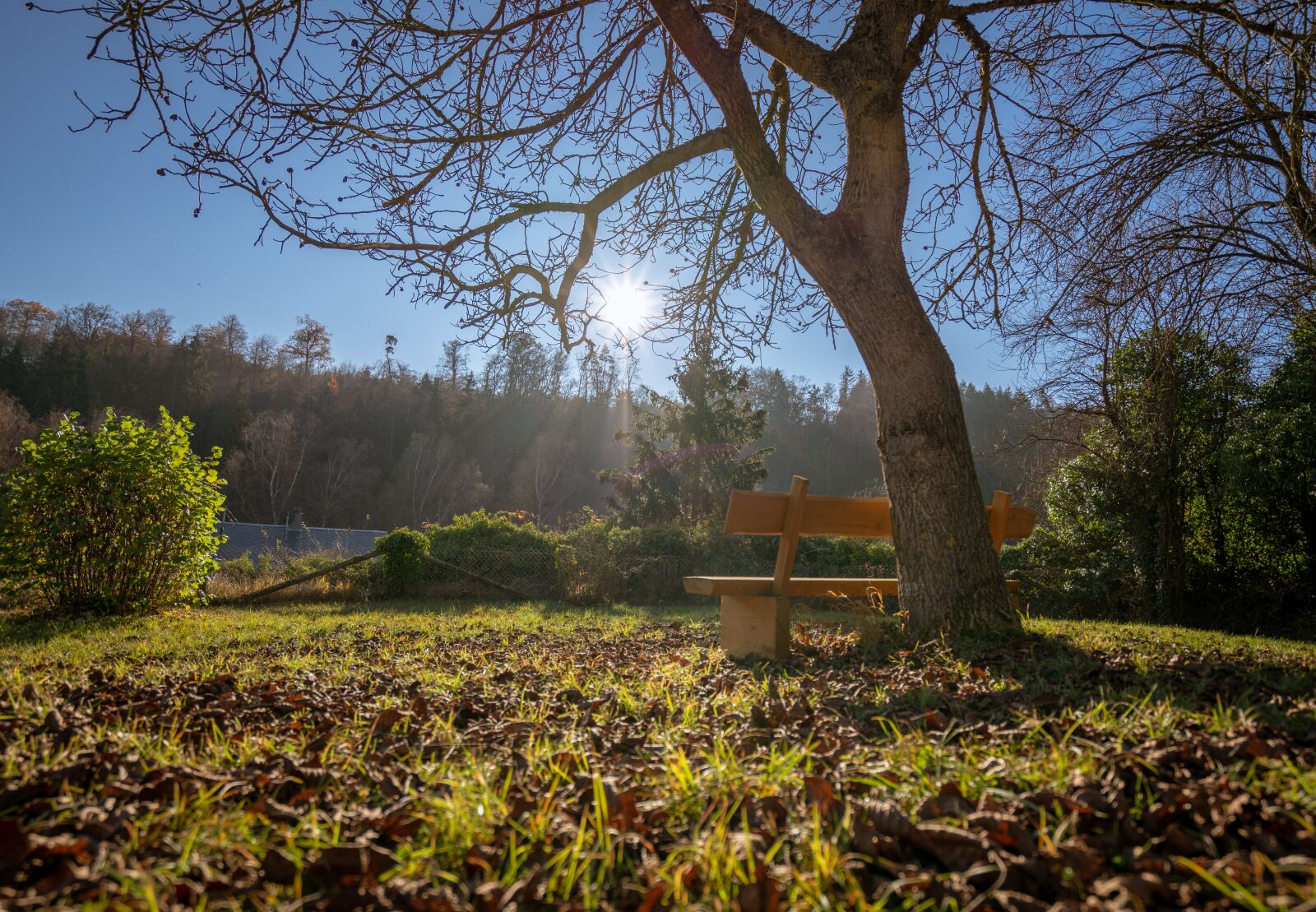 Sony Vario-Tessar T* FE 16-35mm F4 ZA OSS sample photo. Bench, nature, bank photography
