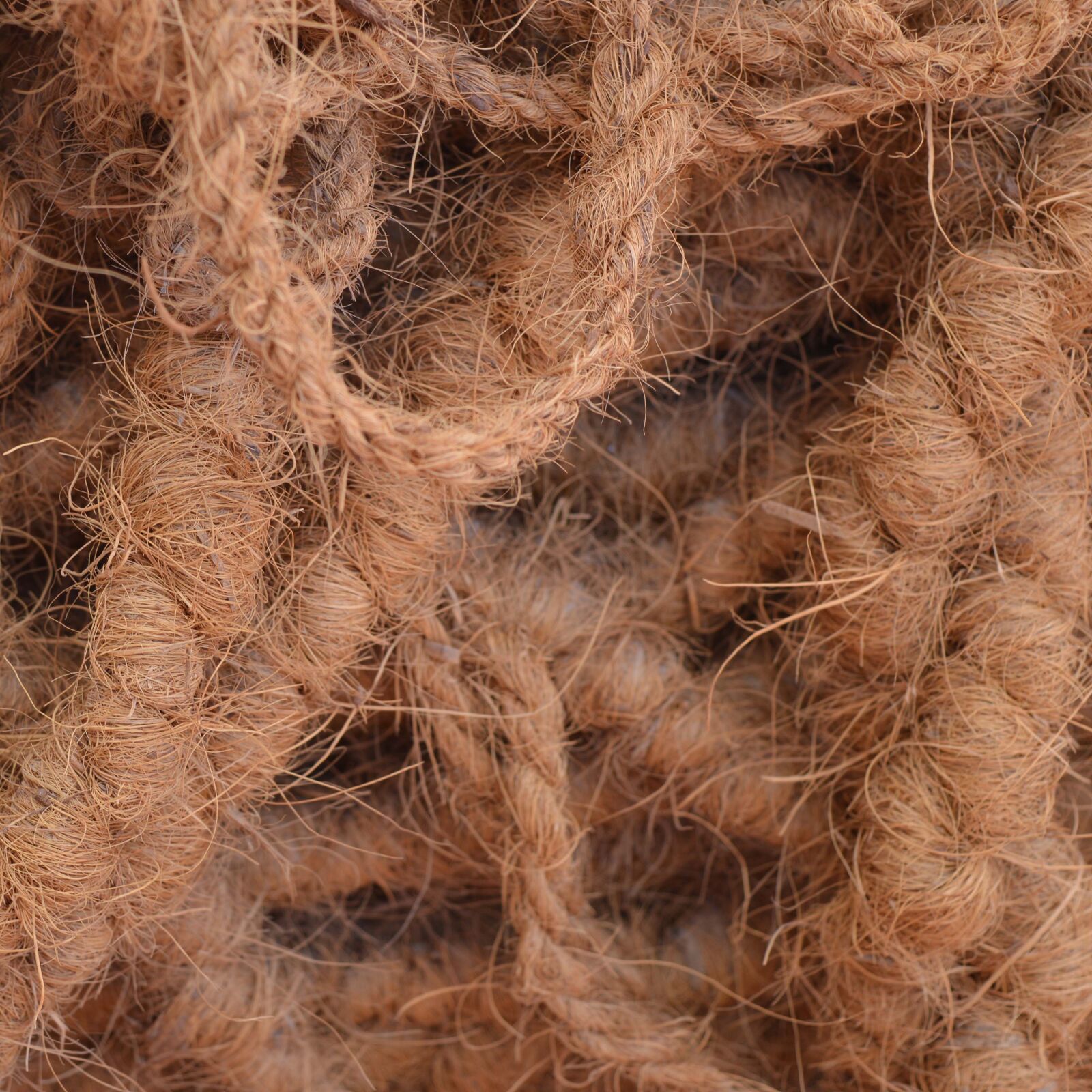 Nikon D3200 sample photo. Desktop background, pattern, close photography