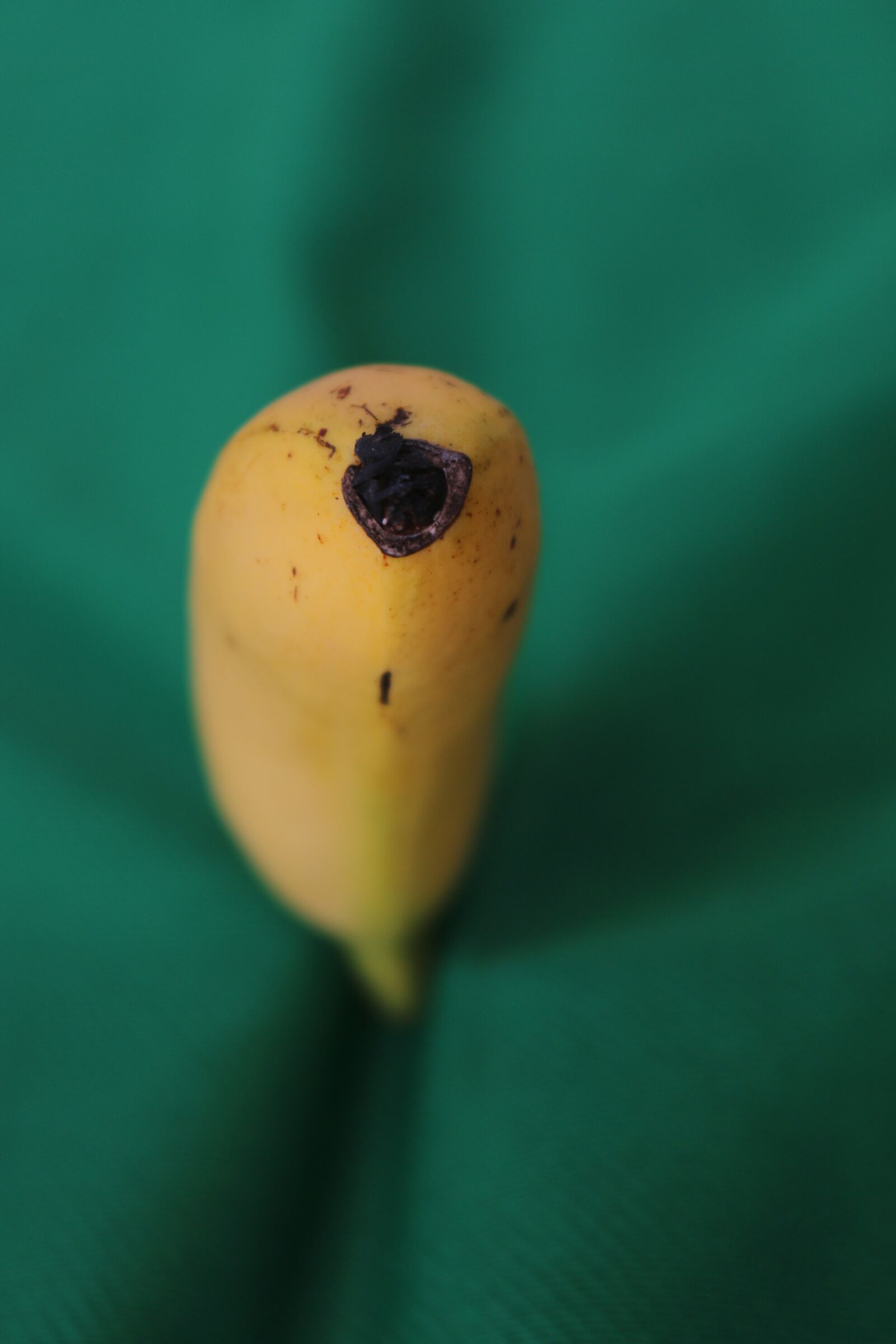 Canon EOS 70D + Canon EF-S 18-55mm F3.5-5.6 IS STM sample photo. Banana, ripe, green bg photography