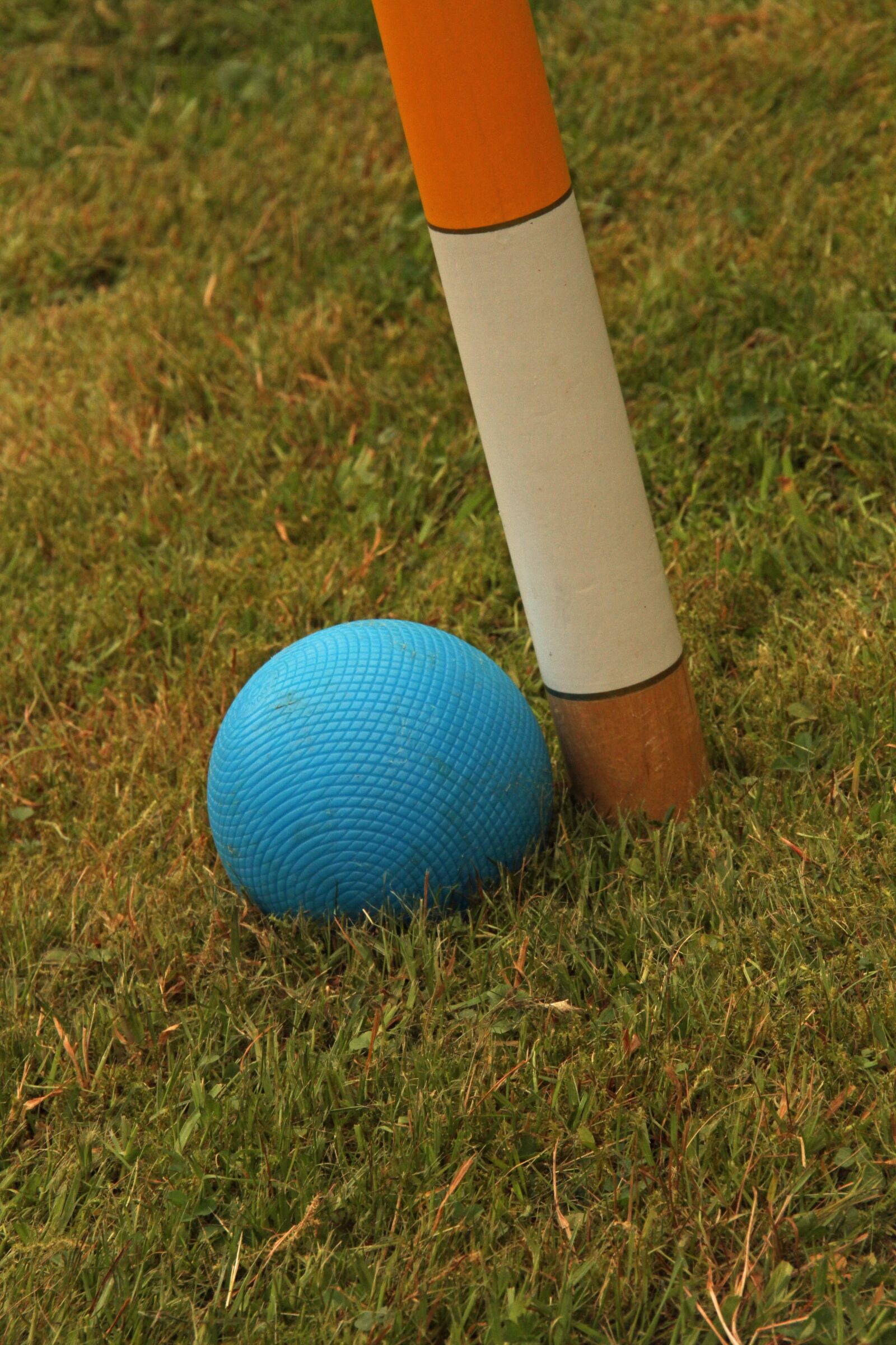 Canon EOS 7D sample photo. Croquet, wooden balls, hoop photography