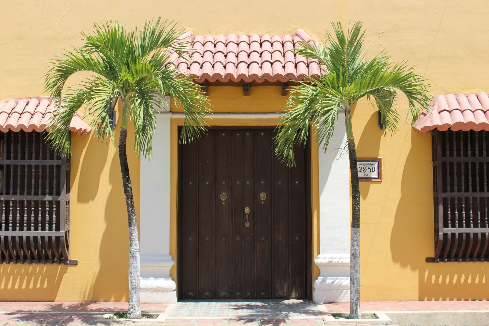 Canon EOS 100D (EOS Rebel SL1 / EOS Kiss X7) sample photo. Door, palma, palm tree photography