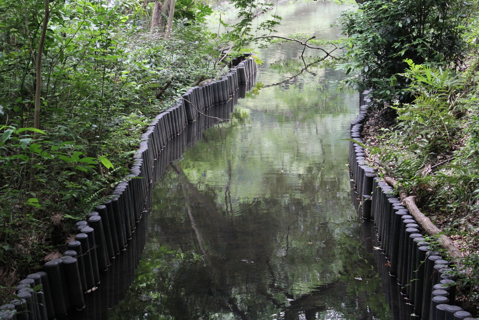 Canon EOS 60D sample photo. Nature, water, river photography