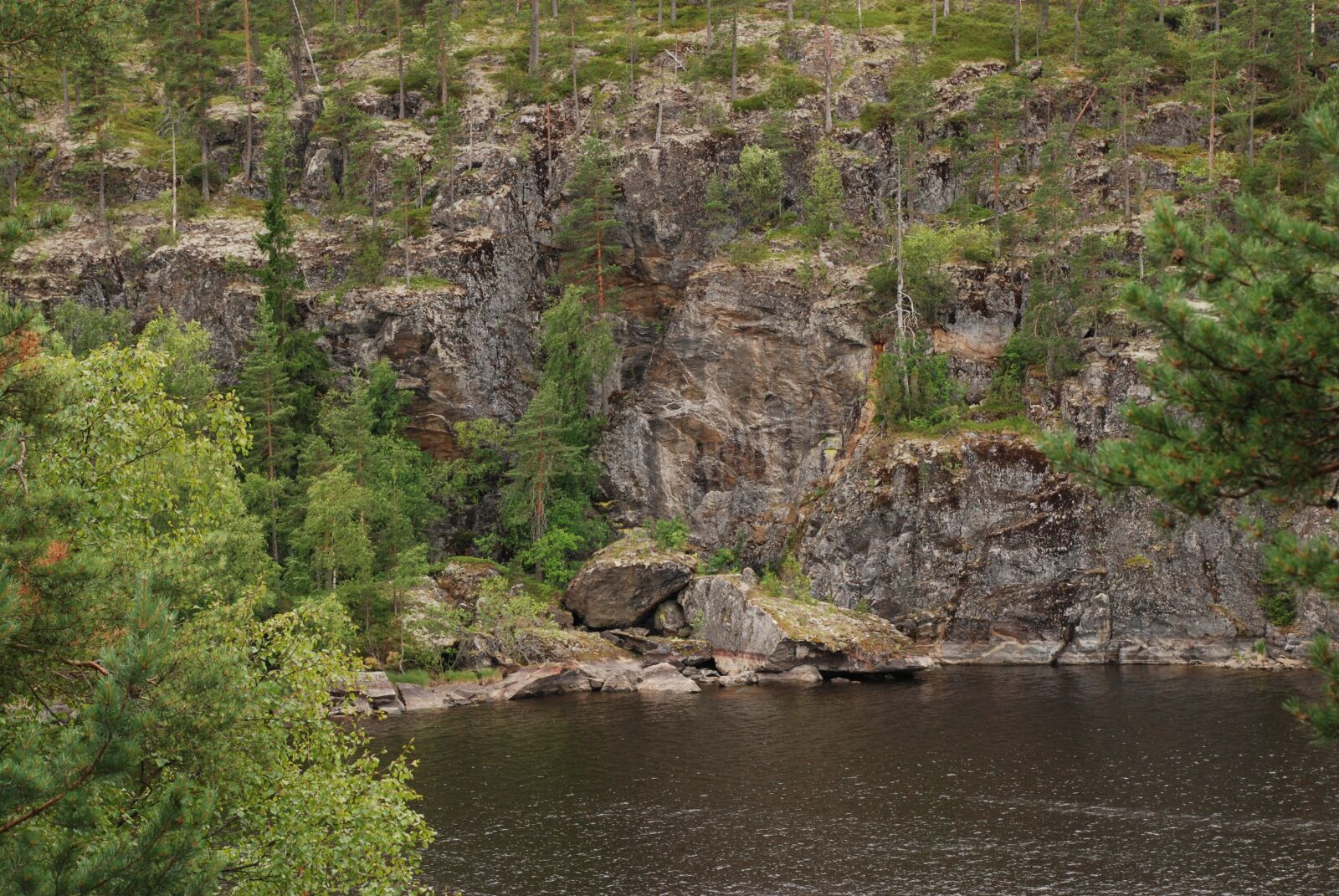 Nikon D80 sample photo. Forest, karelia, russia photography