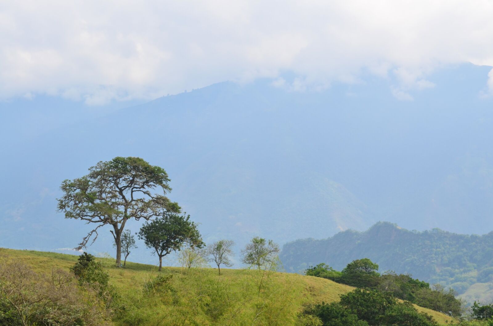 Nikon D5100 sample photo. Tree, field, mountain photography