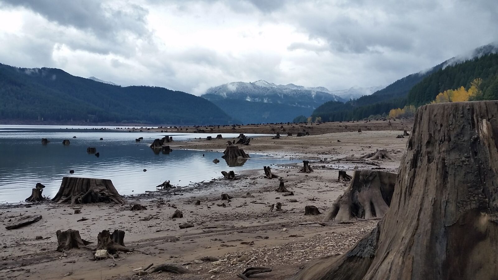 Samsung Galaxy S5 sample photo. Detroit lake, oregon, stump photography