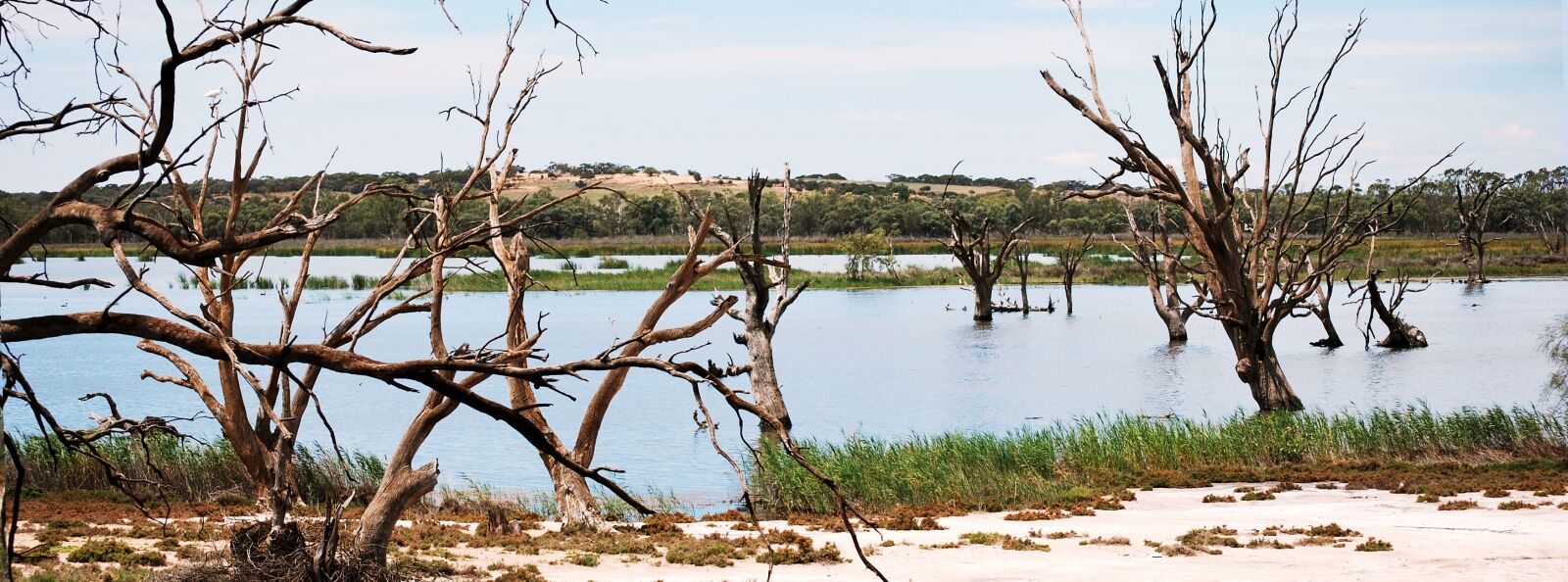 Nikon D60 sample photo. Lake, nature, water photography