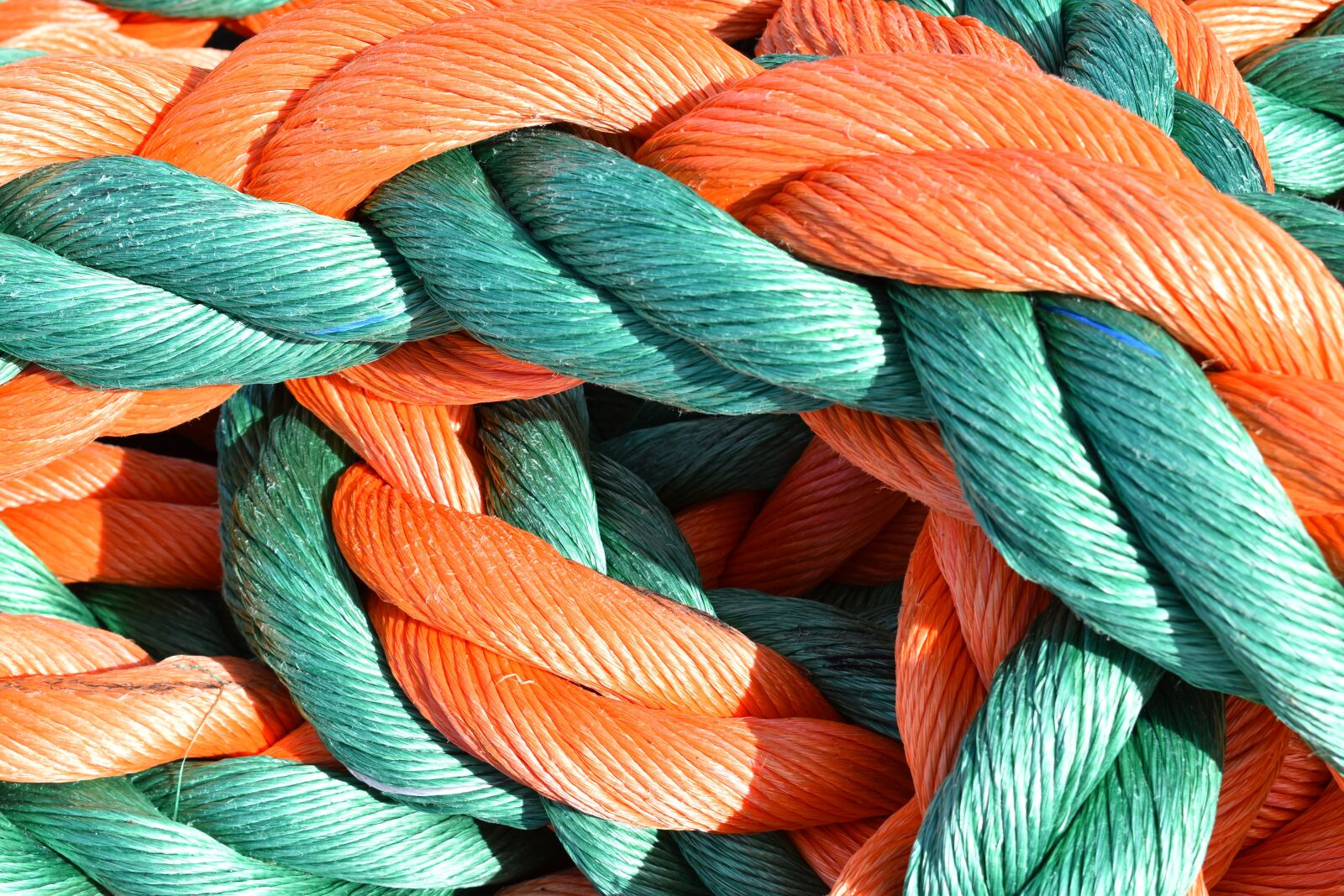 Nikon D5500 sample photo. Rope, plastic, lace photography