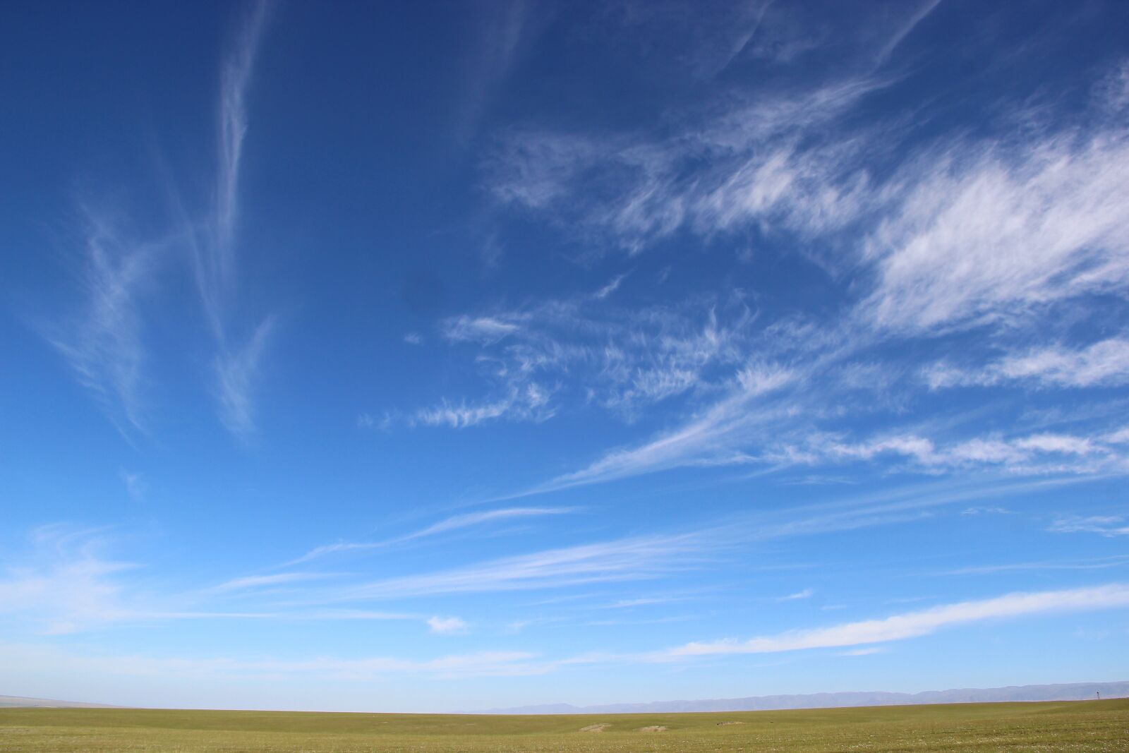 Canon EF-S 18-135mm F3.5-5.6 IS sample photo. Prairie, sky, 巴里坤 photography