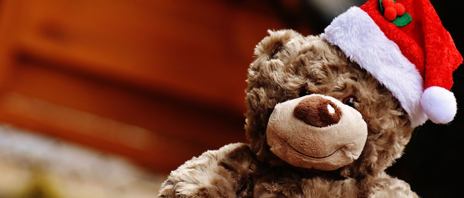 Nikon D7200 sample photo. Christmas, teddy, soft toy photography