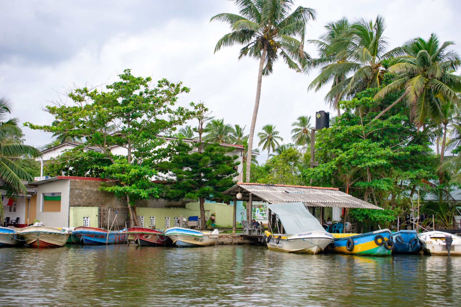 Nikon D3400 sample photo. Sri lanka, exotic, nature photography