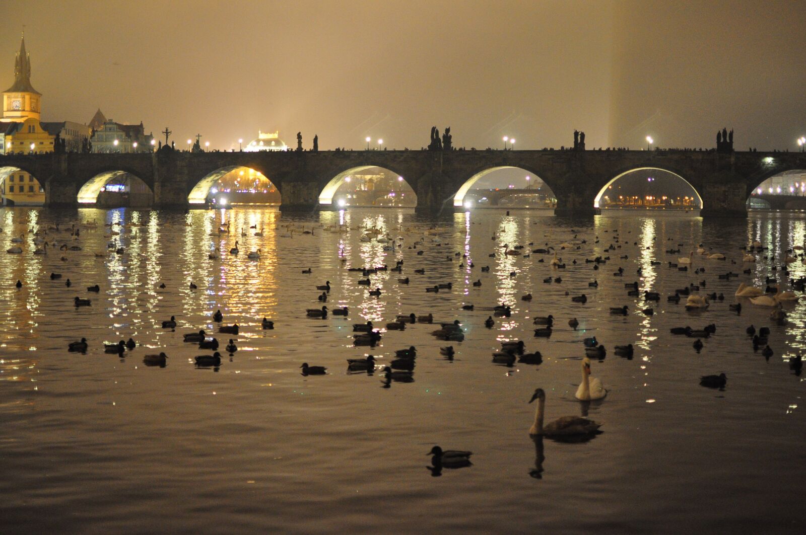 Nikon D90 sample photo. Prague, bridge, city photography