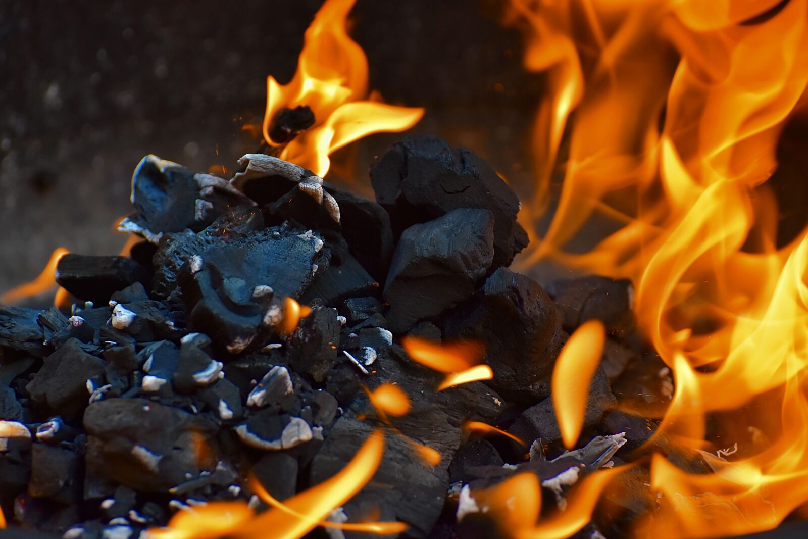 Nikon D7200 sample photo. Fire, flame, carbon photography