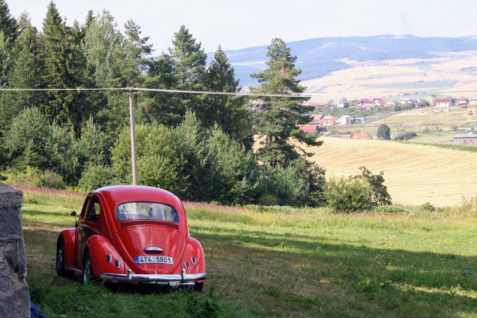 Canon EOS 20D sample photo. Forest, car, beetle photography