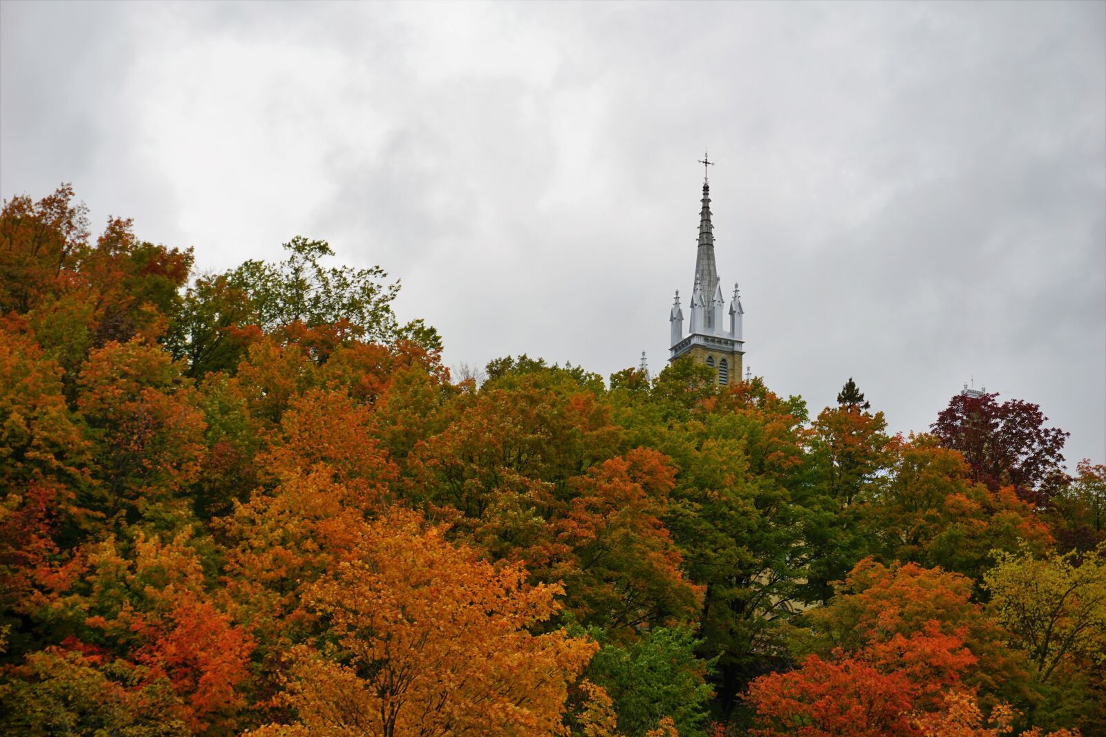 Sony a6000 sample photo. Autumn, colours, church, tower photography