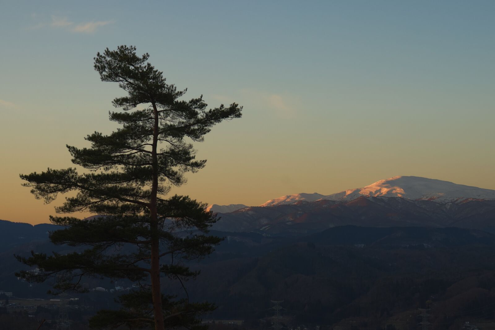 Canon EOS 200D (EOS Rebel SL2 / EOS Kiss X9) sample photo. Tree, mountain, sunset photography