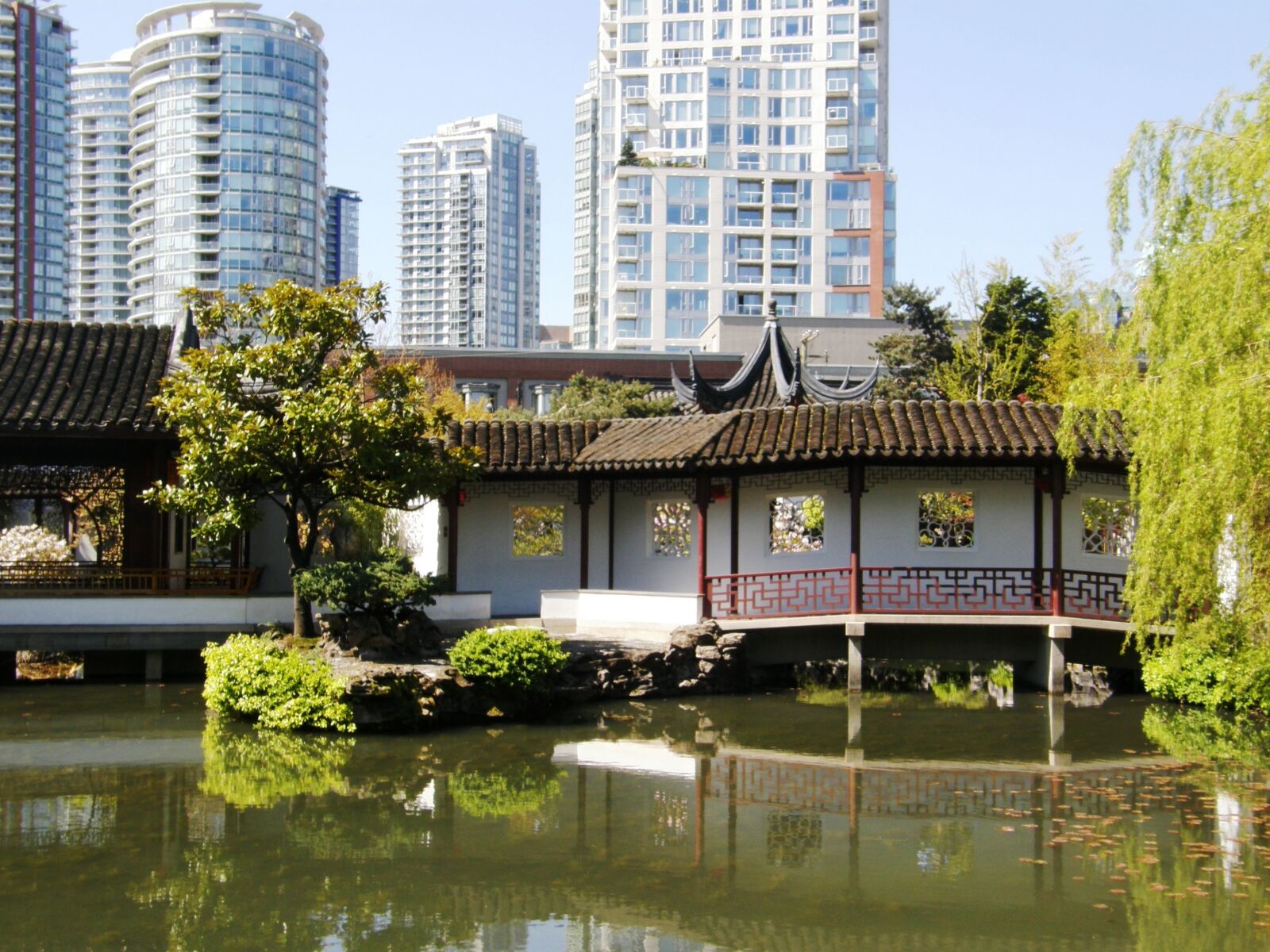 Olympus SP550UZ sample photo. Chinese garden, pond, chinese photography