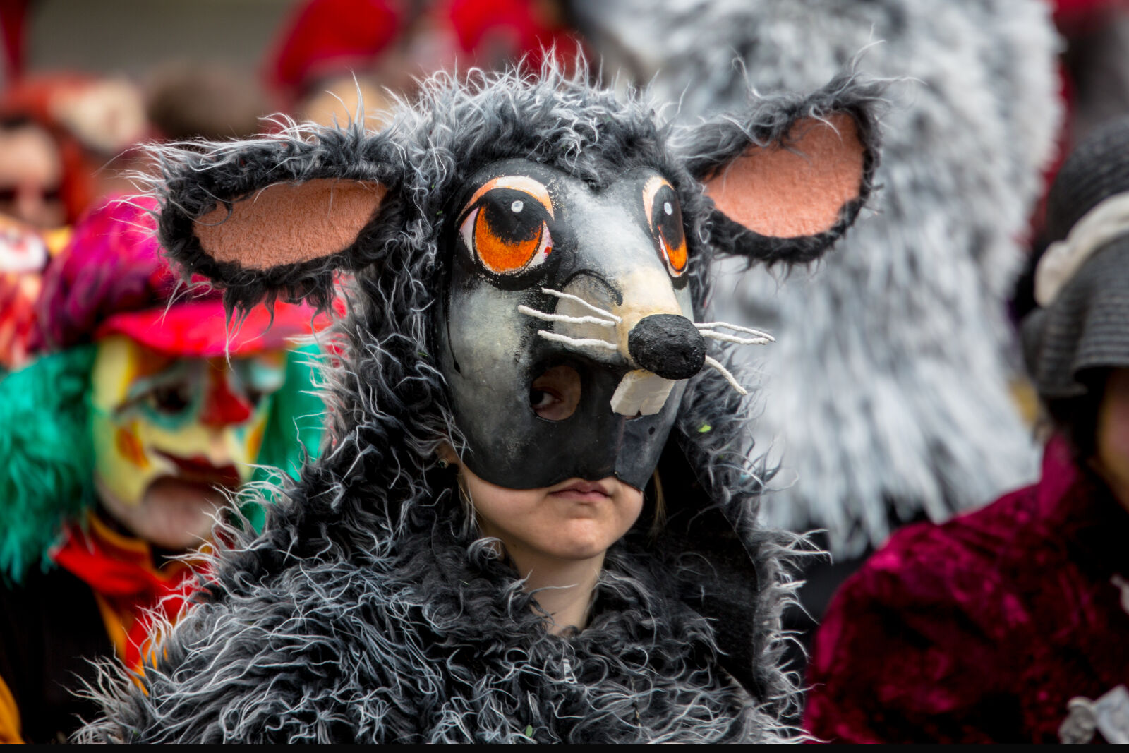 Canon EOS 5D Mark III + Canon EF 70-300mm F4.5-5.6 DO IS USM sample photo. Carnival, mask, parade, people photography
