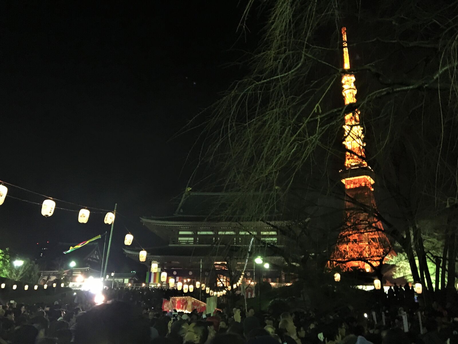 iPhone 6s back camera 4.15mm f/2.2 sample photo. Tokyo tower, new year photography