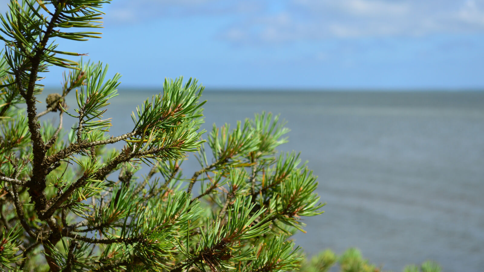 Nikon D3200 sample photo