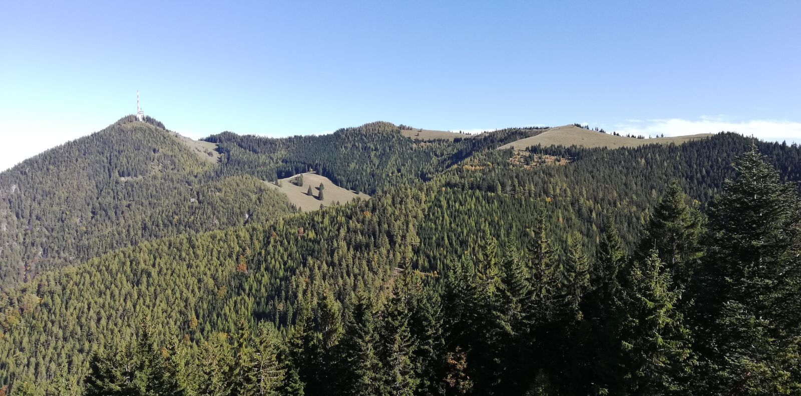 HUAWEI P20 lite sample photo. Mountain, nature, pines photography