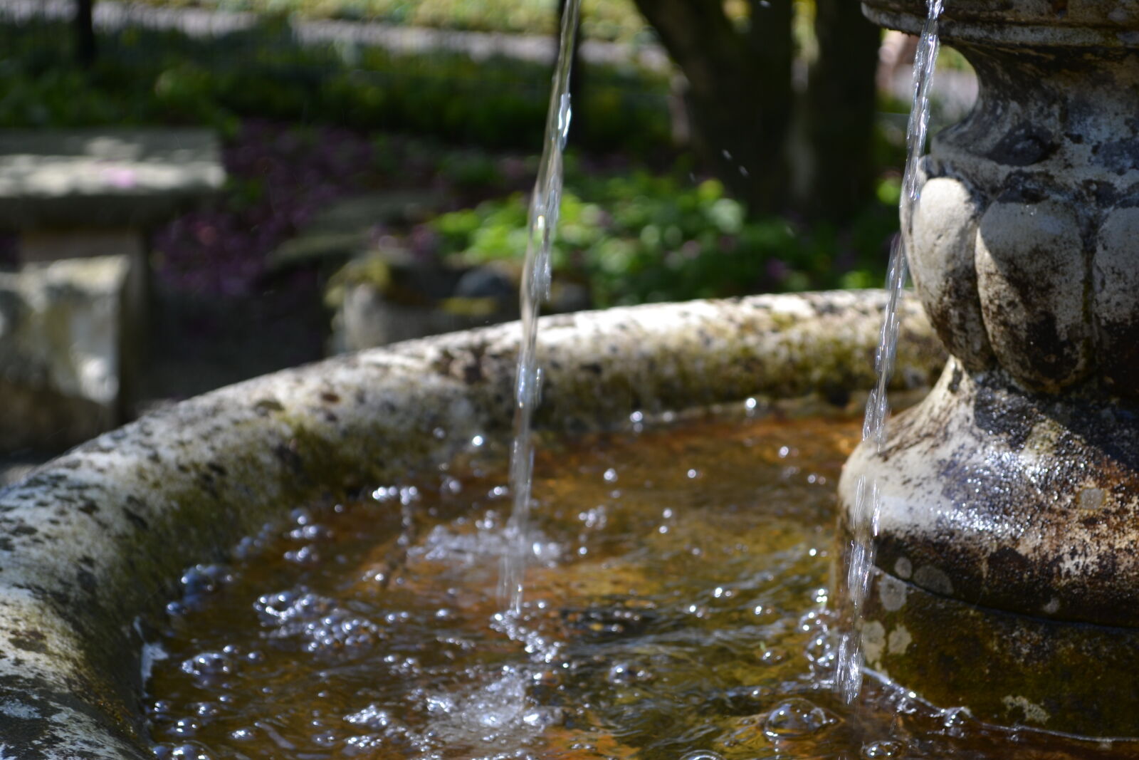Nikon D3100 sample photo. Fountain, mevrouw, s, mylifewiths photography