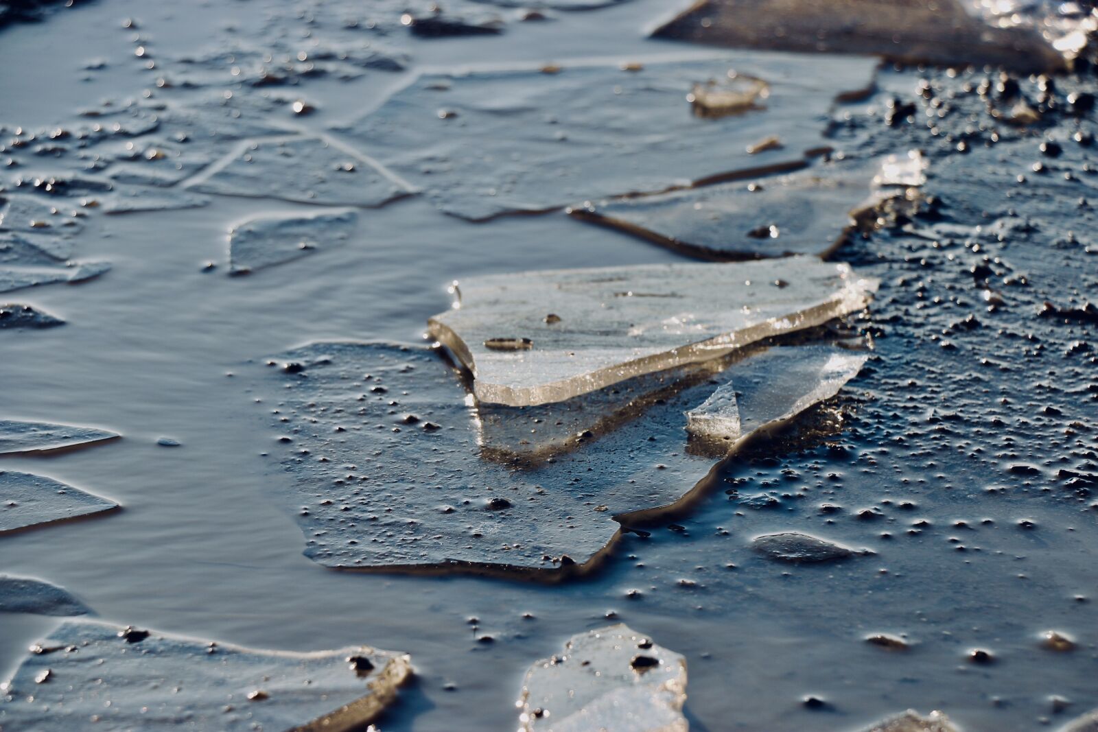 Canon EOS 70D sample photo. Ice floe, winter, frost photography