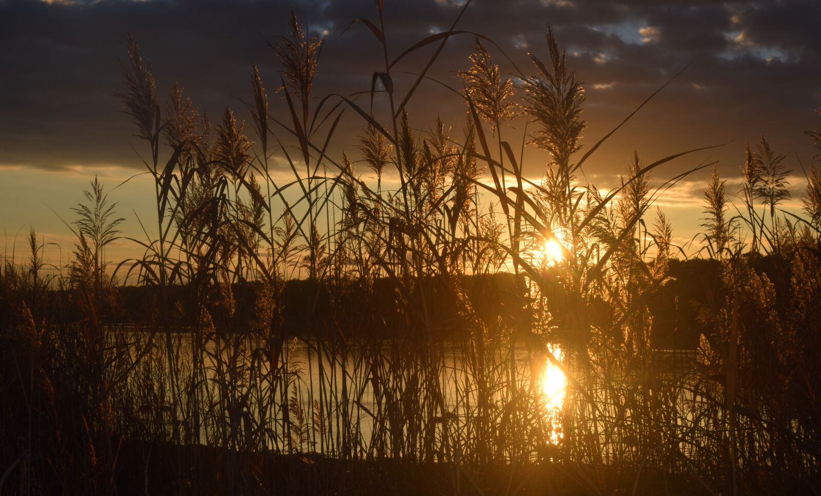 Nikon D5300 sample photo. Lake, sunset, landscape photography