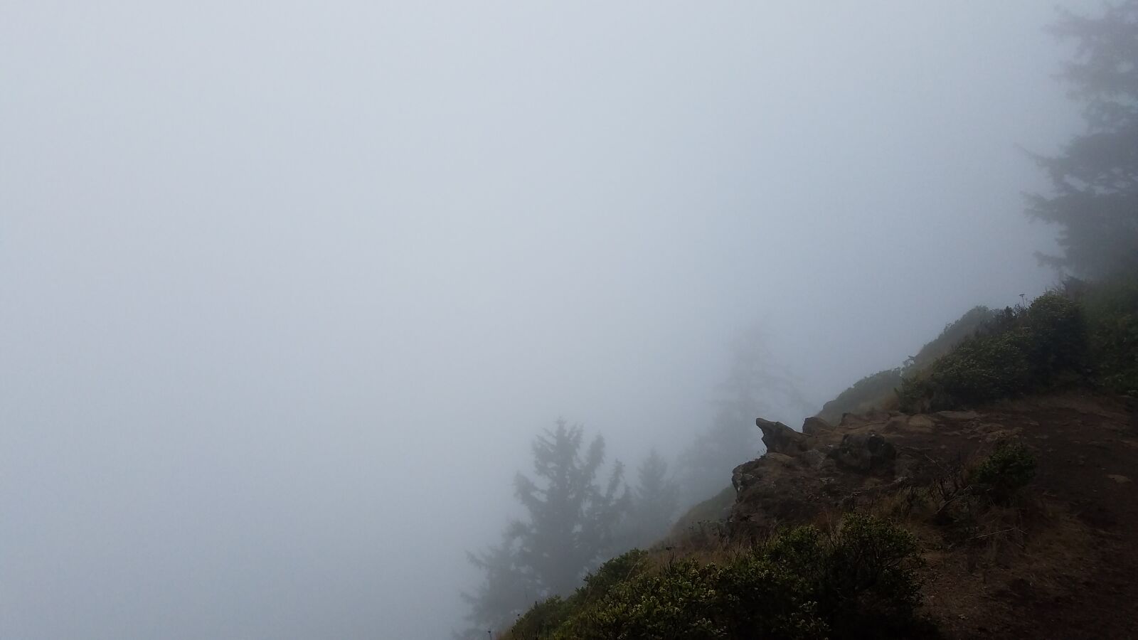 Samsung Galaxy S7 sample photo. Fog, ocean, rocks photography