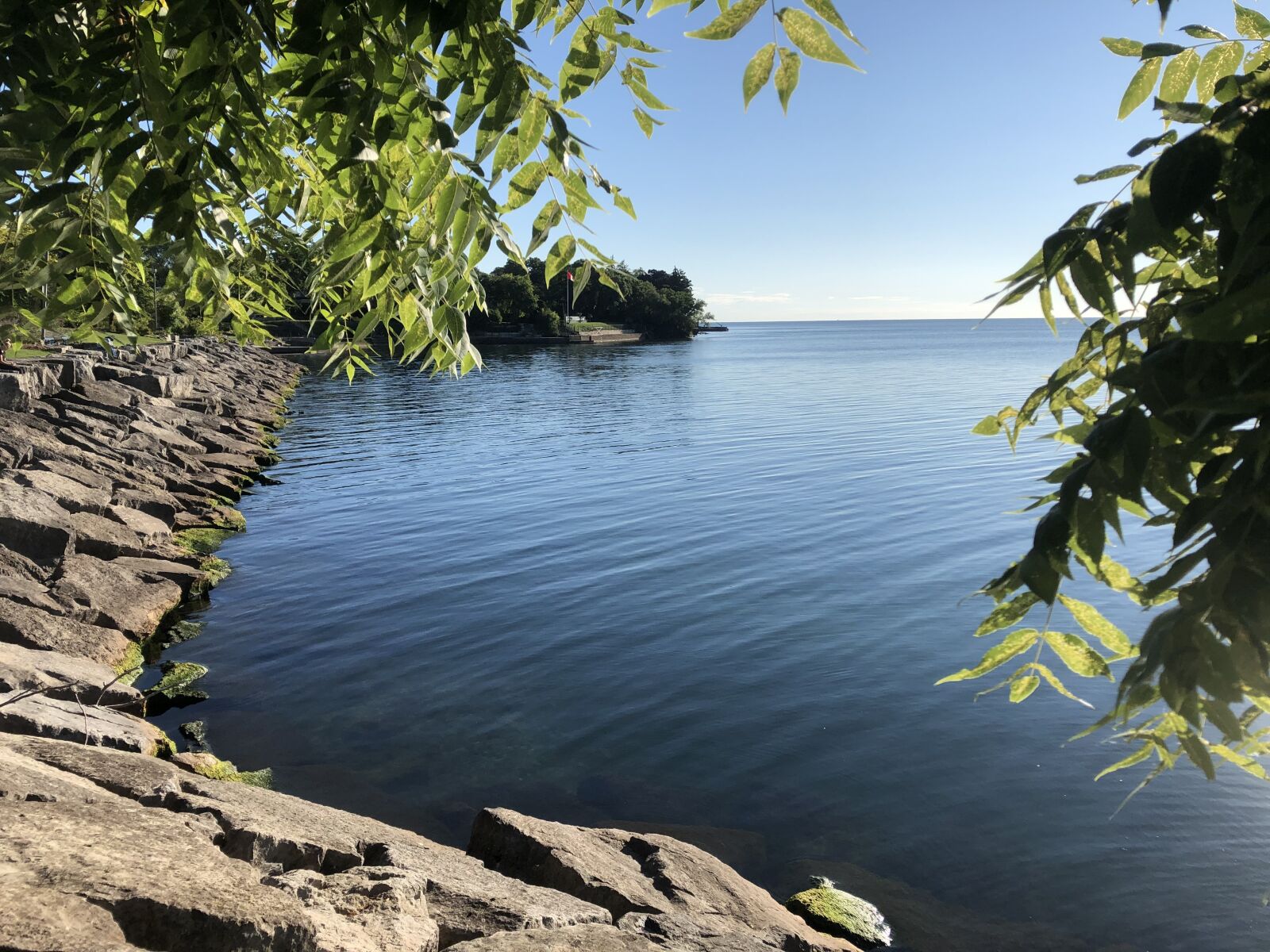 iPhone 8 back camera 3.99mm f/1.8 sample photo. Lake and trees, peaceful photography