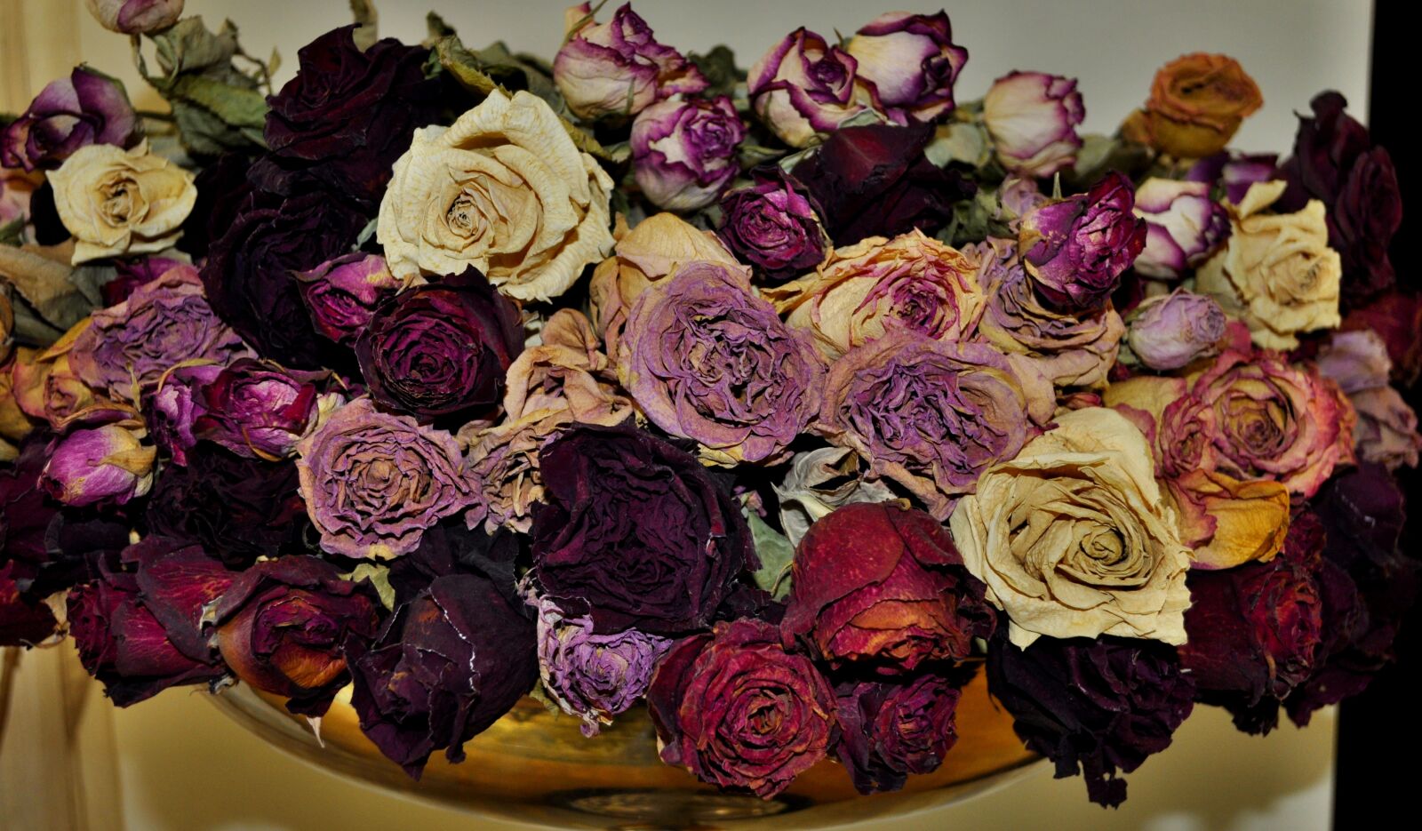Nikon D5000 sample photo. Flowers, roses, dried photography