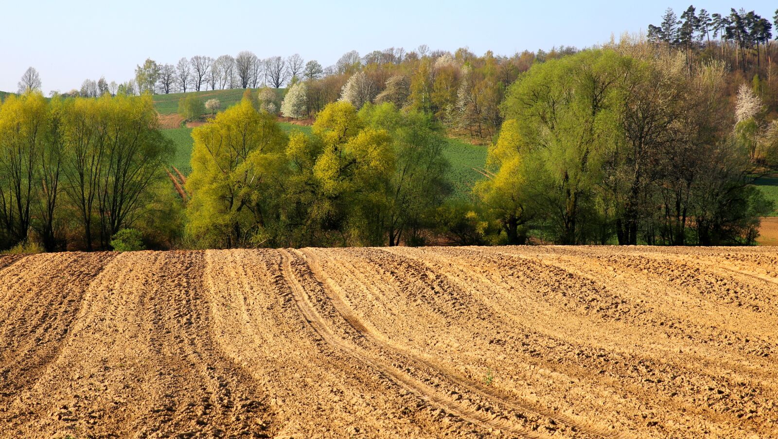 Canon EOS 6D sample photo. Nature, landscape, field photography