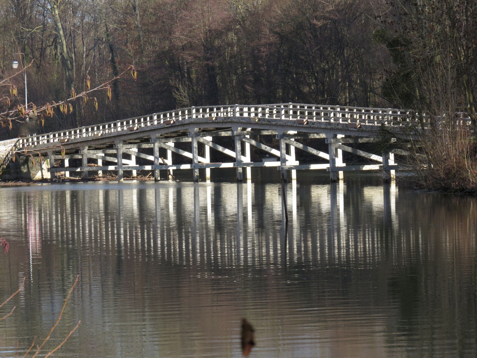 Canon PowerShot SX50 HS sample photo. Nature, bridge, river photography