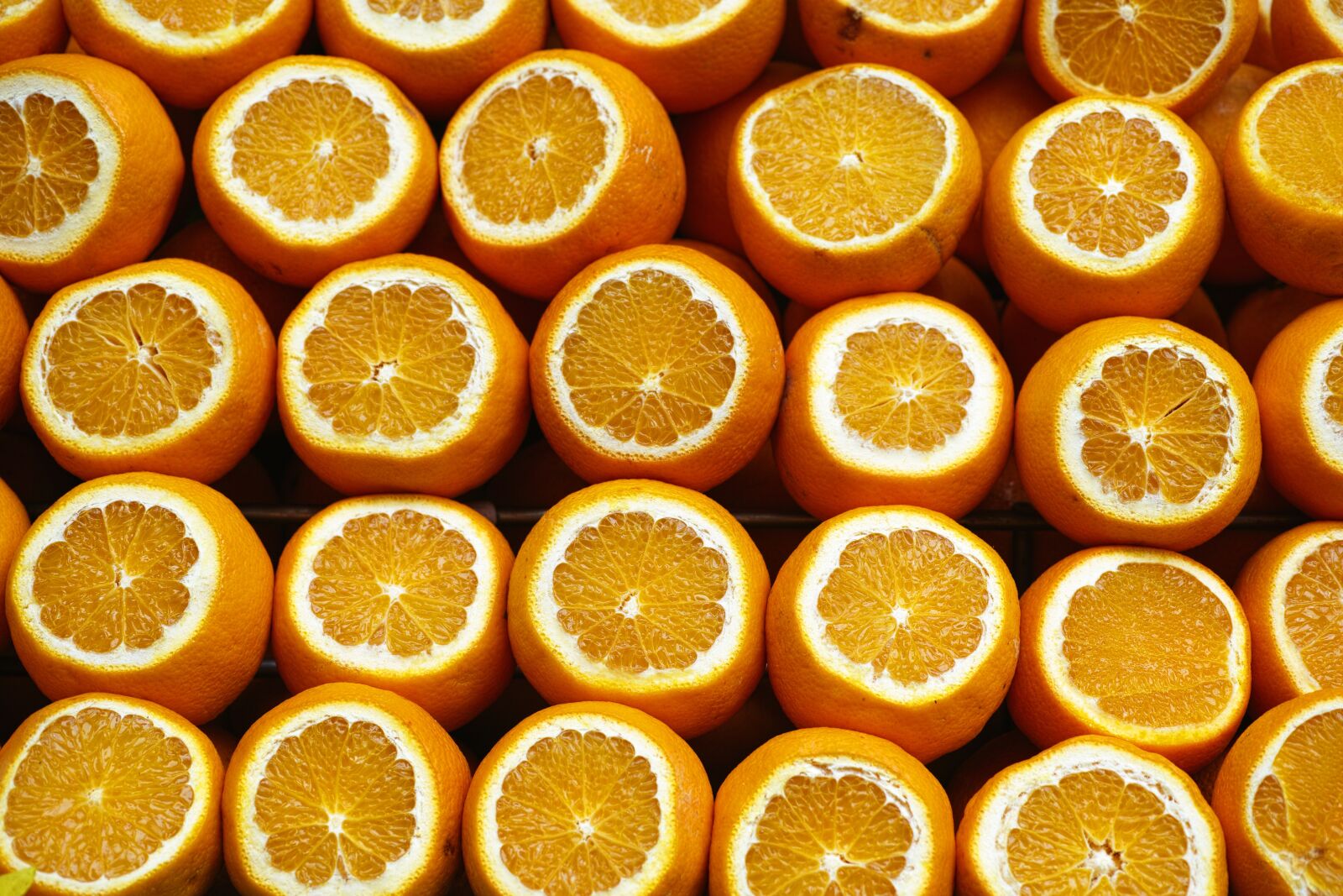 Sigma DP3 Merrill sample photo. Orange, yellow, fresh photography