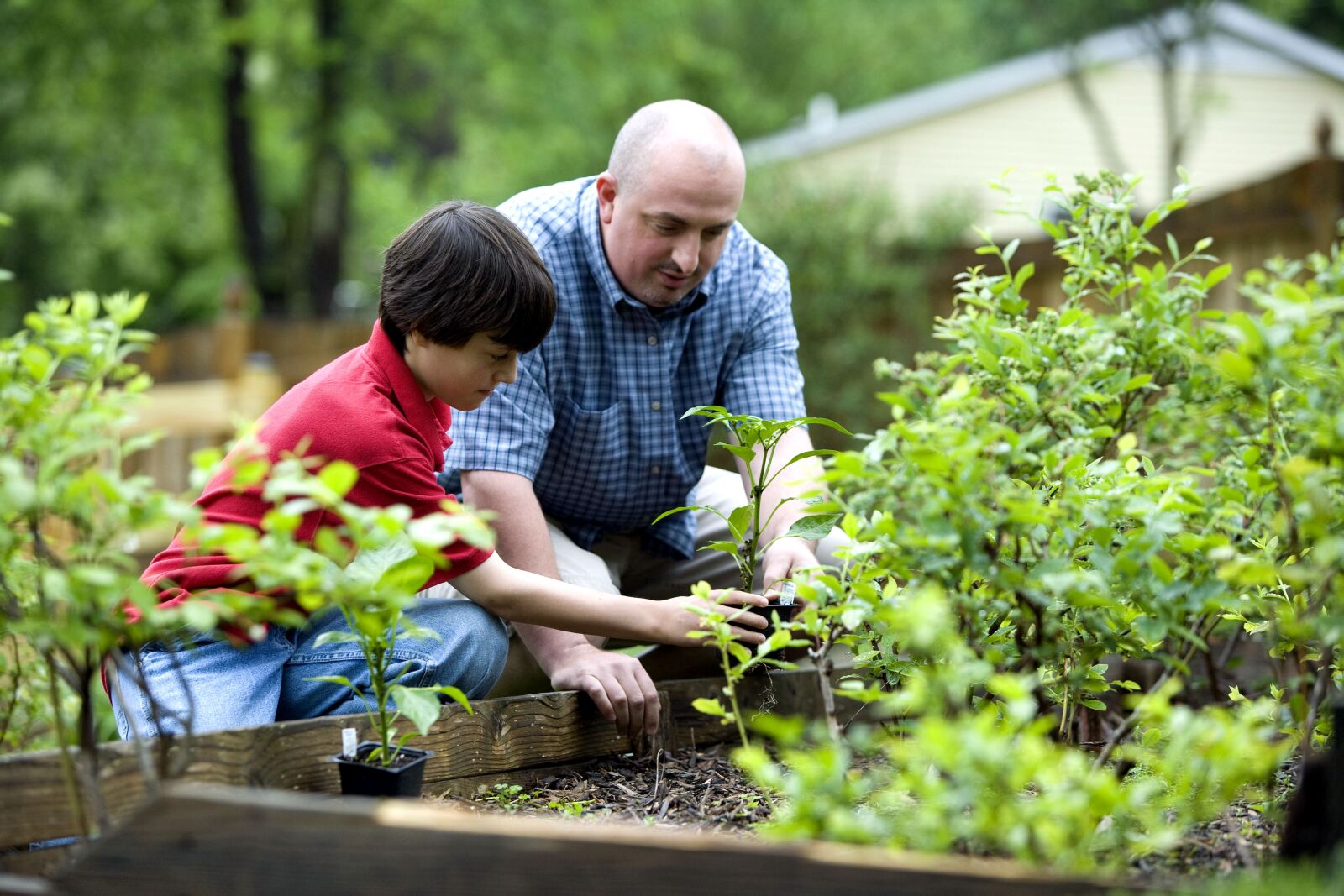 Canon EOS-1Ds Mark II sample photo. Father, son, outdoor, activity photography