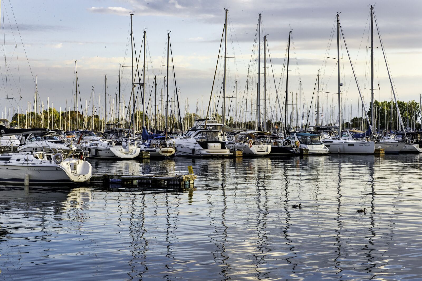 Nikon D610 sample photo. Lake, toronto, skies photography
