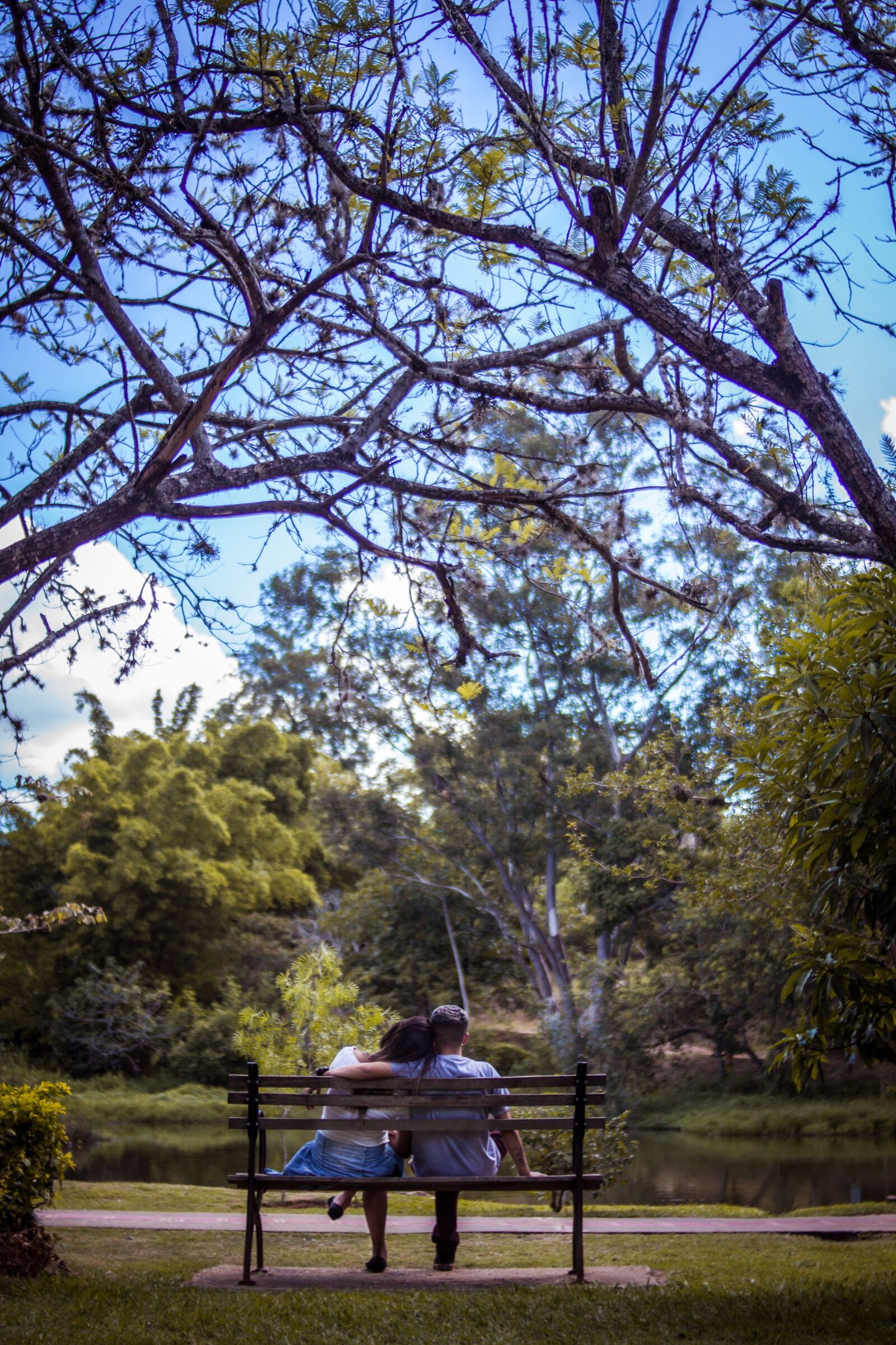 Canon EOS 50D sample photo. Tree, nature, wood photography