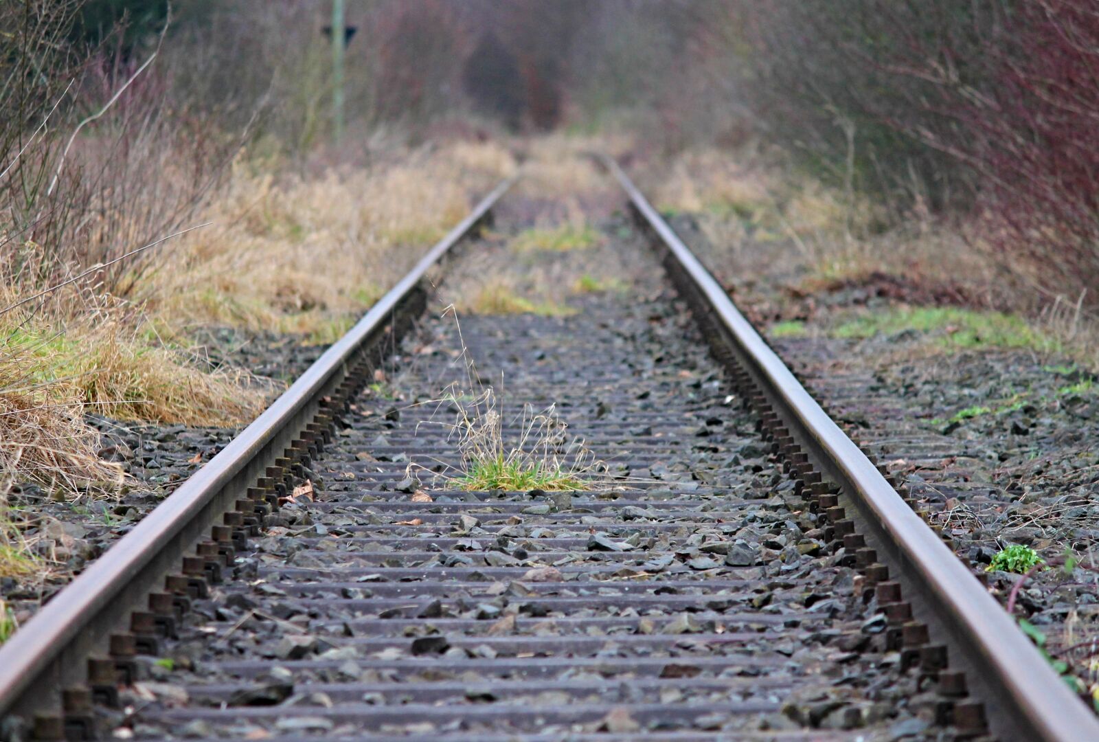 Canon EOS 1100D (EOS Rebel T3 / EOS Kiss X50) sample photo. Gleise, railway, rails photography