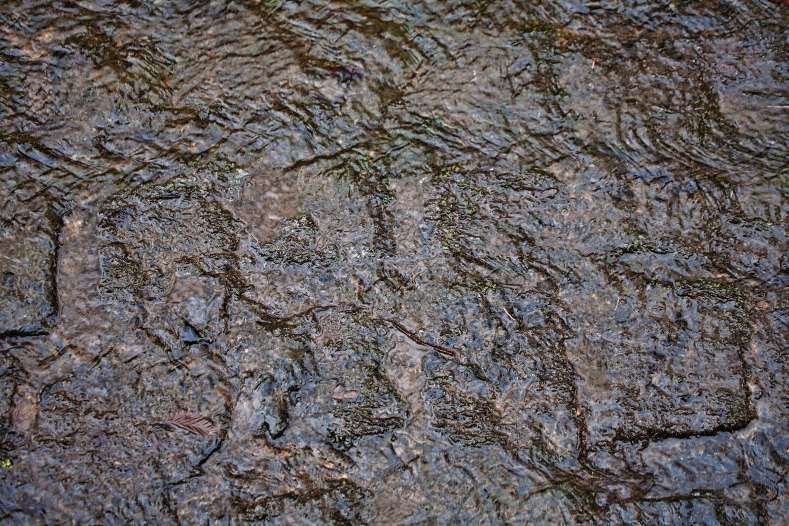 Canon EOS 5D sample photo. Wet, paving stones, rain photography