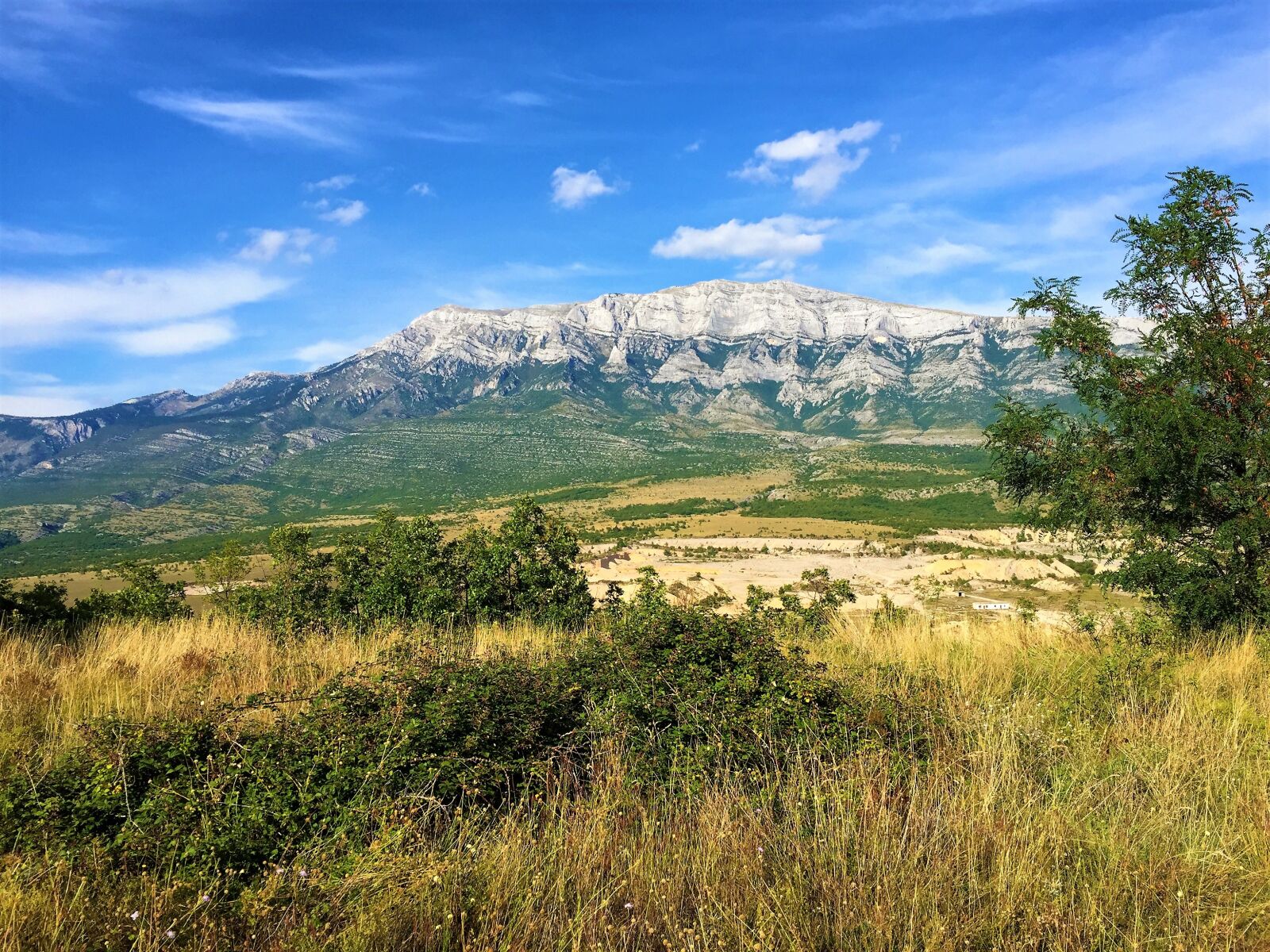 Apple iPhone 6 sample photo. Sun, summer, landscape photography